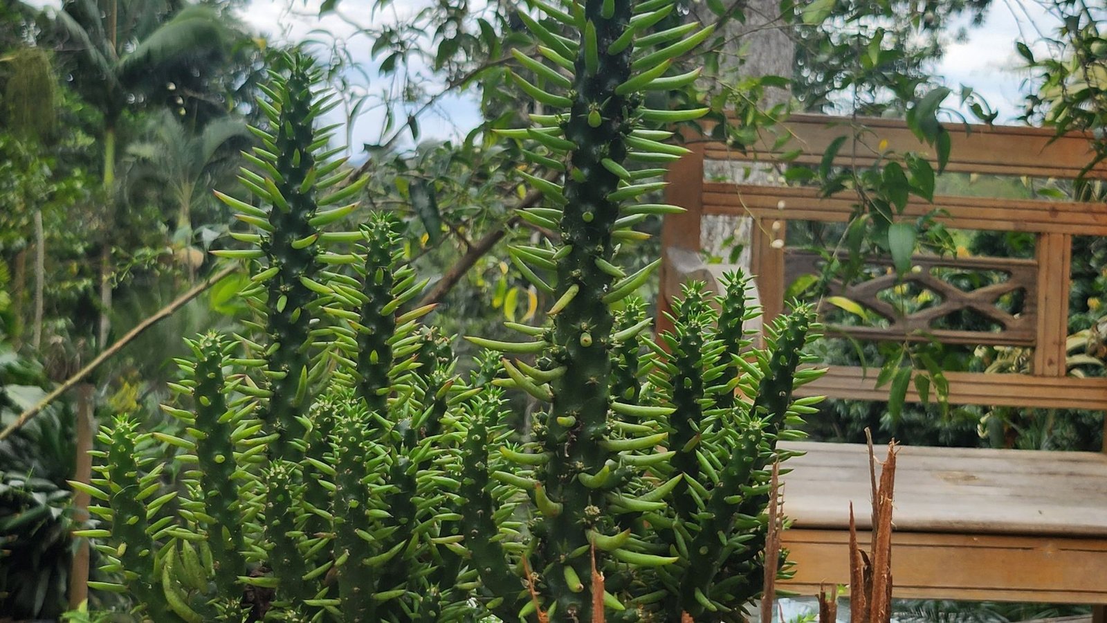 Kaza Morfeu Chalés em Vargem Grande - Rio de Janeiro - RJ