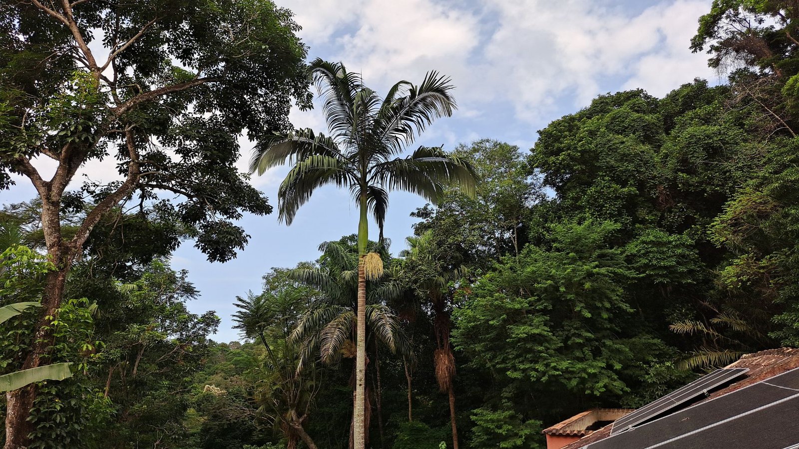 Área Externa Kaza Morfeu Chalés em Vargem Grande – Rio de Janeiro – RJ